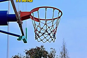 莫兰特：我也填满数据栏，为什么夸小杨不夸我？